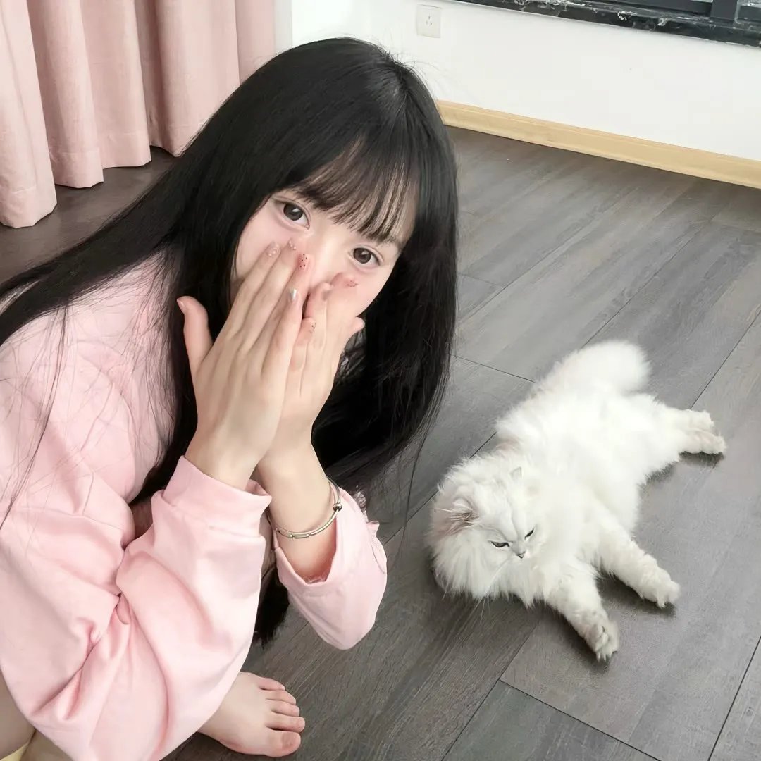 阿波罗